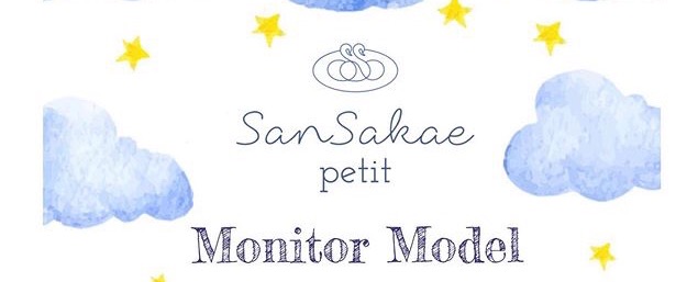 San Sakae Petit_monitor